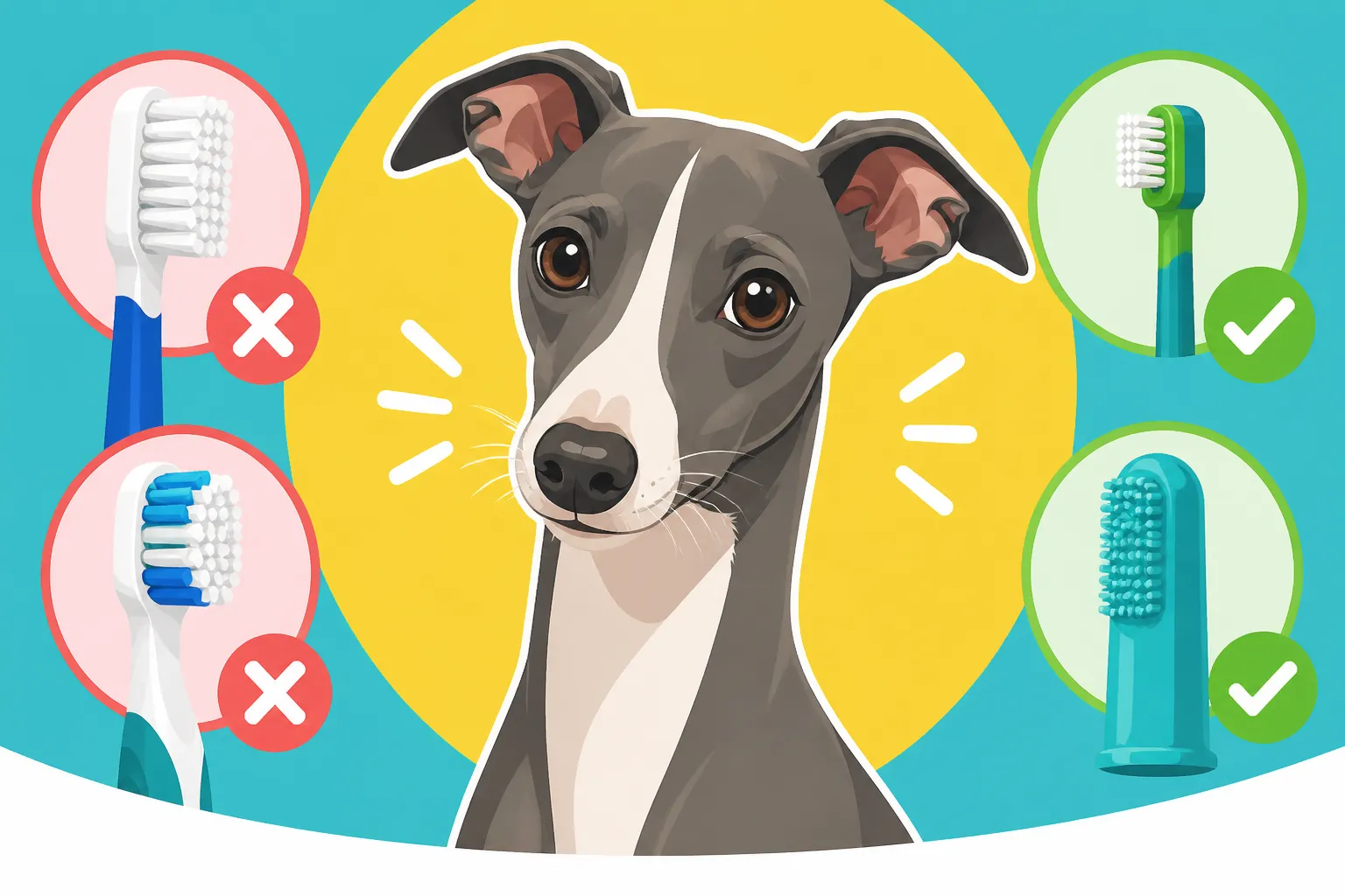 Which Toothbrush Fits an Italian Greyhound's Mouth