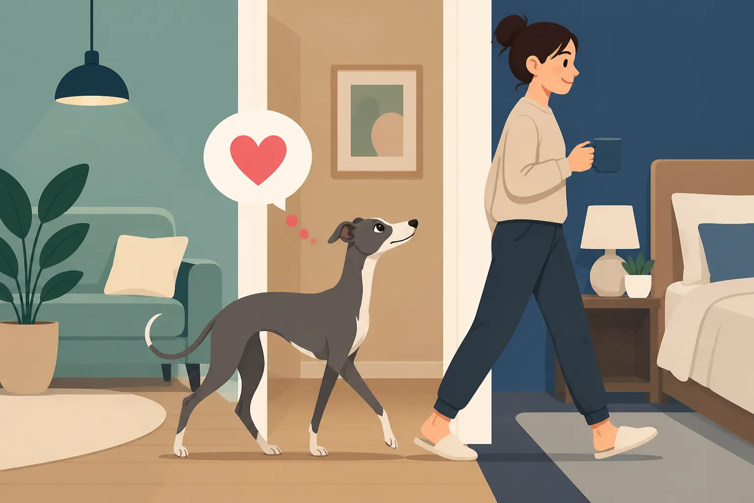 Why an Italian Greyhound Follows You Room to Room