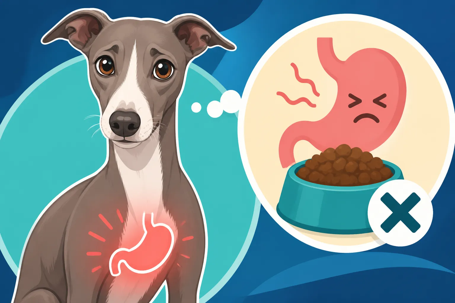 Whether an Italian Greyhound Has a Sensitive Stomach