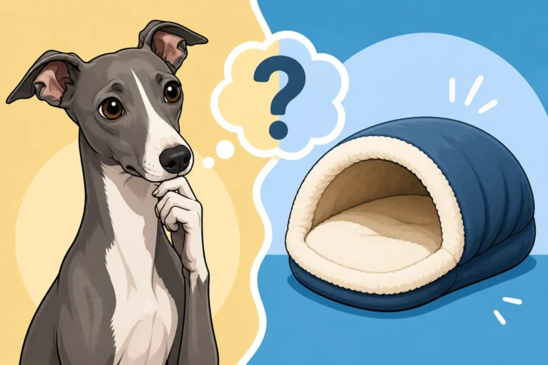Whether a Snuggle Sack Suits an Italian Greyhound